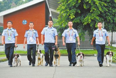 閱兵排爆安檢 四川警犬每天出勤超10小時(shí)